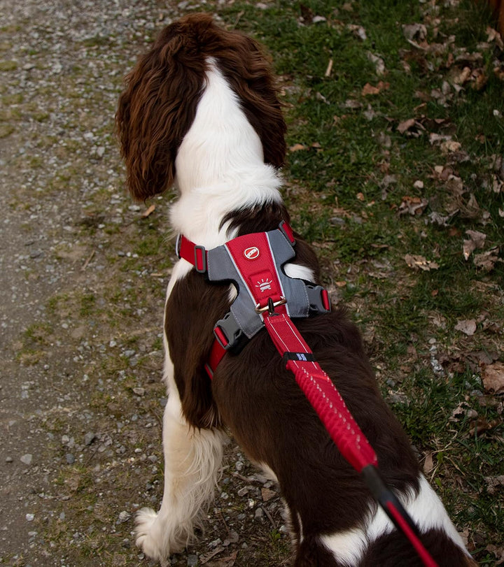 EzyDog No-Pull Hundegeschirr für Mittelgrosse und Grosse Hunde, X- Link Anti Zug Geschirr Hund Verst