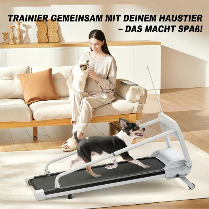 Smartes Ruhiges Hundelaufband Verstellbare Geschwindigkeit Sicher Für Kleine Mittelgrosse Hunde Haus