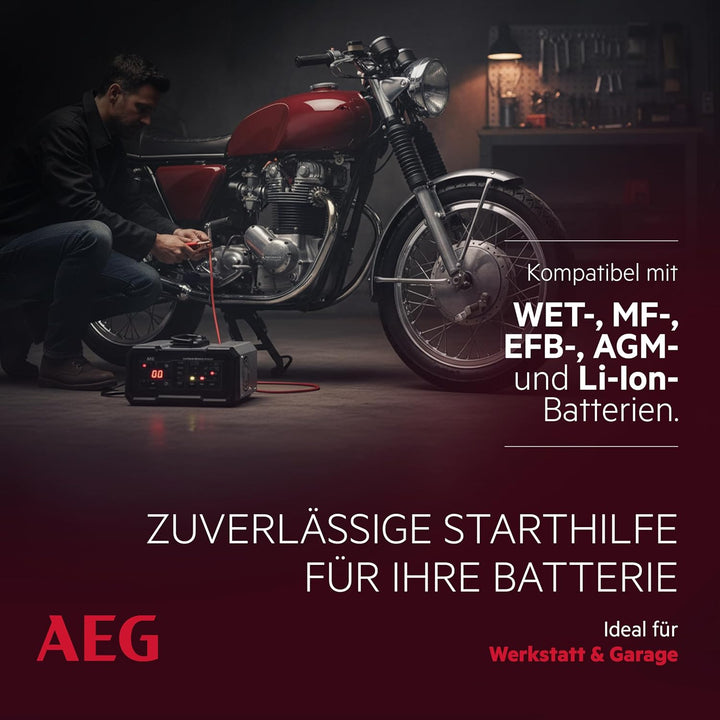 AEG Batterieladegerät CW10 lädt alle 6 V und 12 V Batterien, umfangreicher Sicherungsschutz, mit Lad