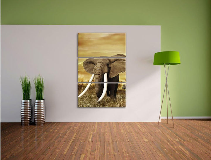 Pixxprint Stolzer Elefant in Savanne als Leinwandbild/Grösse: 3 Teilig (120x80) cm/Wandbild/Kunstdru
