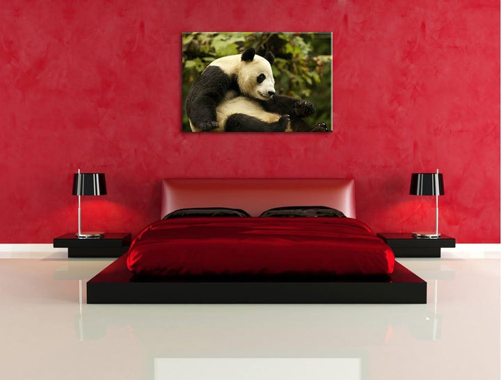 niedlicher Pandabär Leinwand, XXL riesige Bilder fertig gerahmt mit Keilrahmen, Kunstdruck auf Wandb