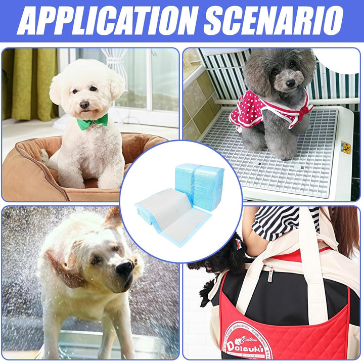 100 Stück PIPI Matten für Hunde: 33×45cm Trainingspads Auslaufsicheres 6-Lagiges Design mit Schnell