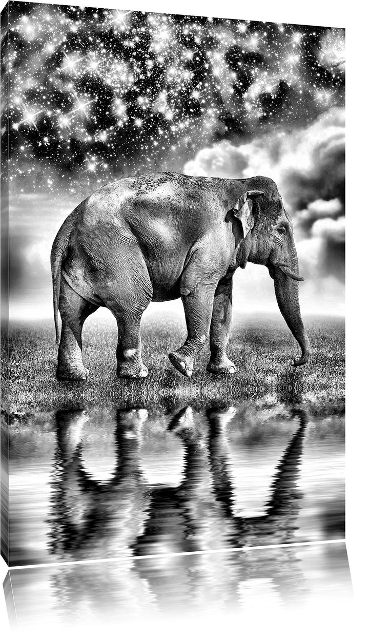 Pixxprint Monocrome, Elefant mit Sternenhimmel, Format: 100x70 auf Leinwand, 100x70