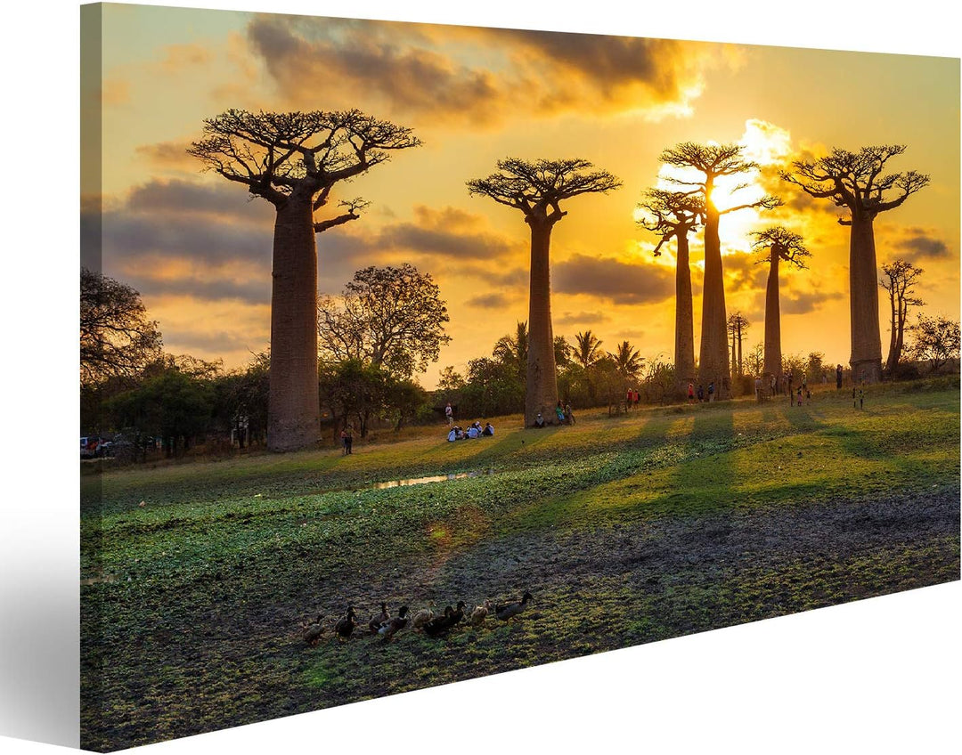 islandburner Bild Bilder auf Leinwand Schöne Baobabbäume bei Sonnenuntergang an der Allee der Baobab