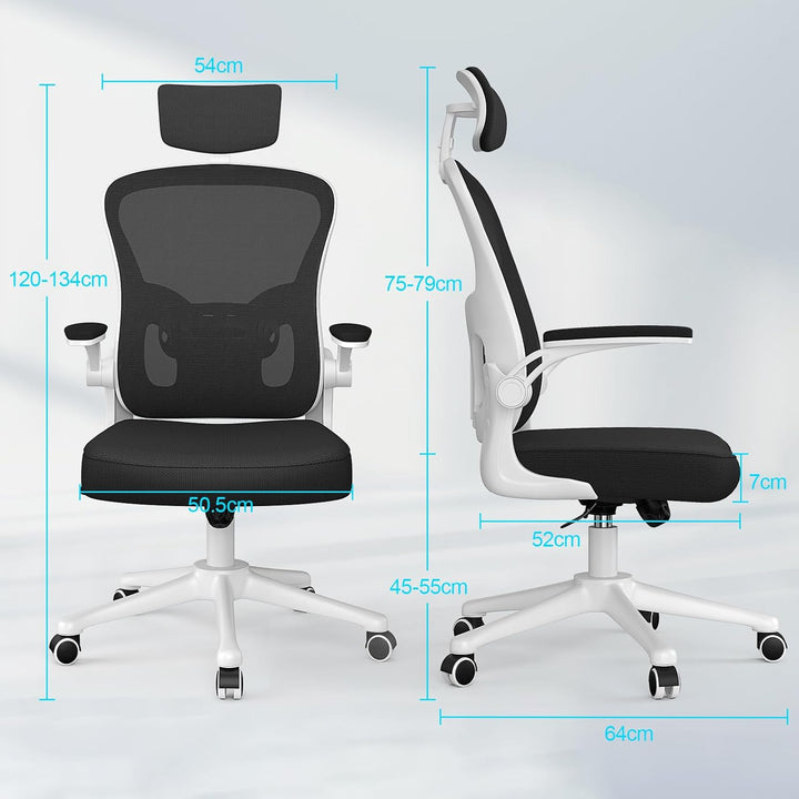 naspaluro Ergonomischer Bürostuhl mit Atmungsaktiver Netzbespannung, Schreibtischstuhl Verstellbarer