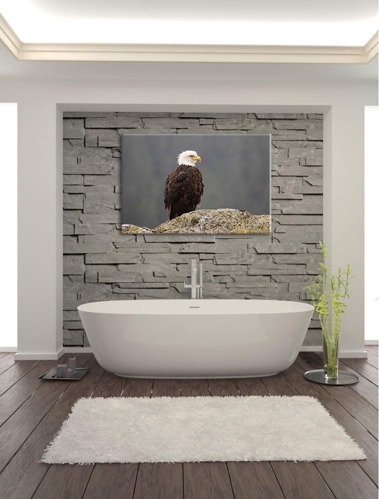 wachsamer Adler auf Fels Leinwand, XXL riesige Bilder fertig gerahmt mit Keilrahmen, Kunstdruck auf