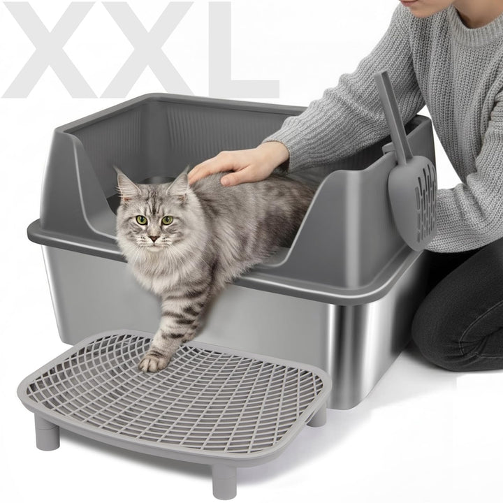 Edelstahl Katzentoilette XXL 60x40x35cm, Extra Hochwand Katzenklo Auslaufsicher &amp; Spritzsicher, Einf