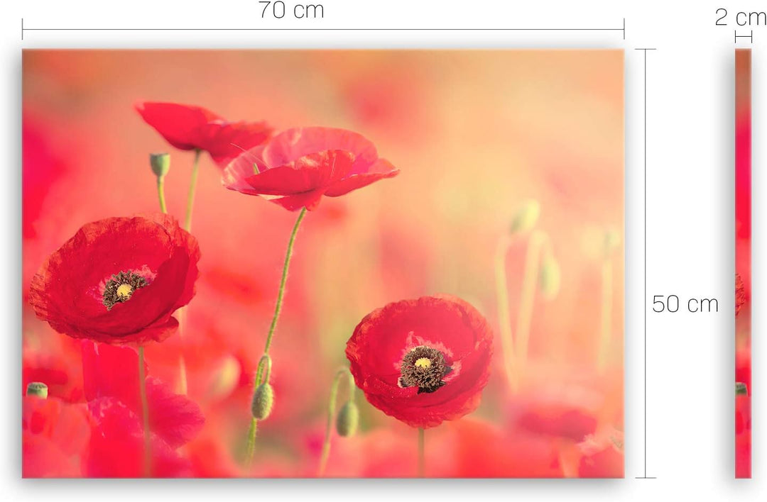 ge Bildet Bild auf Leinwand | roter Mohn in 70x50 cm als Wandbild | Wand-deko Dekoration Wohnung mod