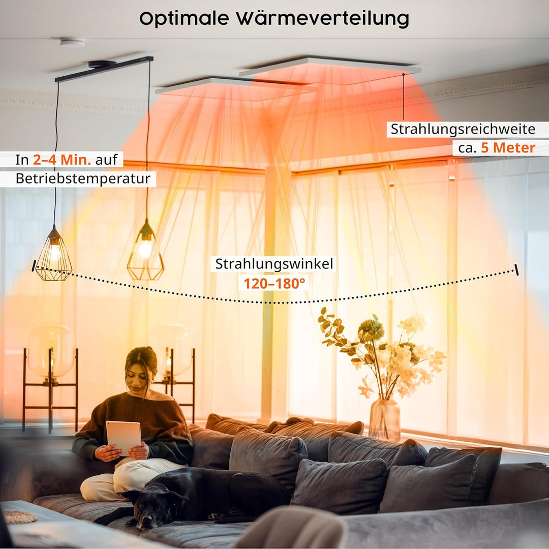 Infrarot Heizung 600 Watt Bildheizung mit Digitalthermostat Elektroheizung mit Stecker für Steckdose