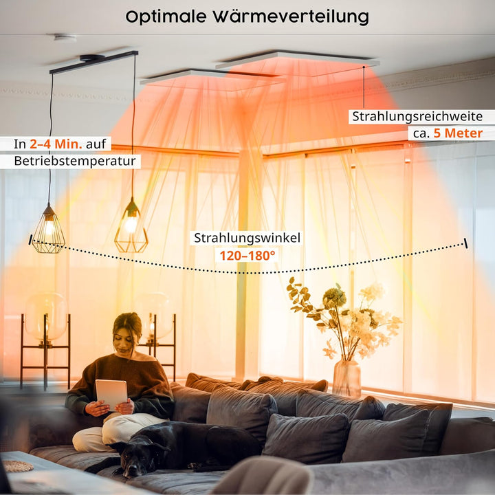 Infrarot Heizung 600 Watt Bildheizung mit Digitalthermostat Elektroheizung mit Stecker für Steckdose
