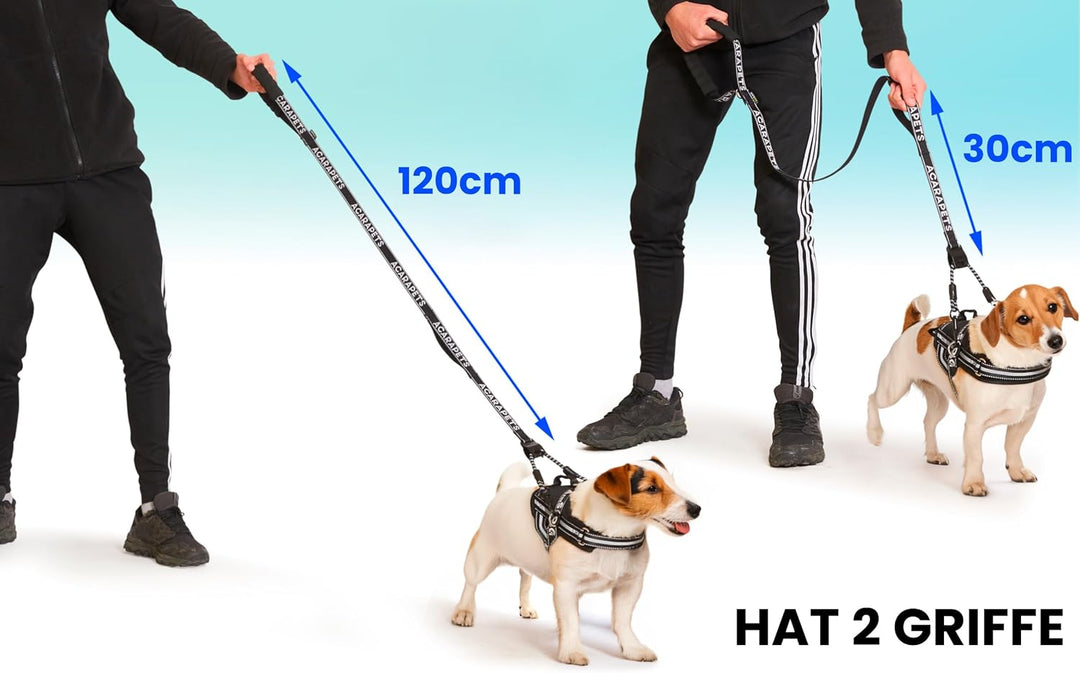 ACARAPETS Hundegeschirr und Leine, 3 Ringe, gepolstert und atmungsaktiv, mit elastischer Bifida-Lein