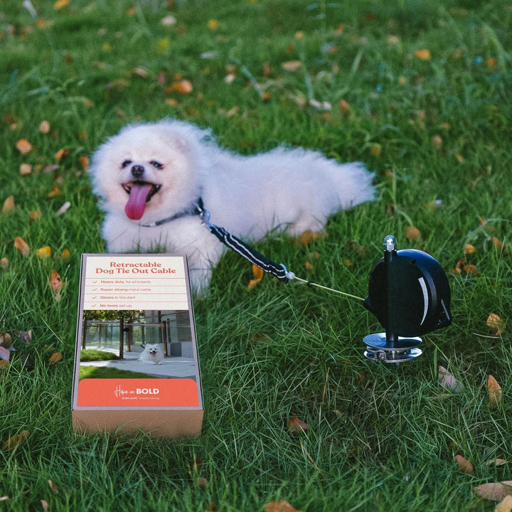【Robustes einziehbares Hunde-Auslaufkabel】 Die ultimative Hundeleine für draussen - Super Starkes au