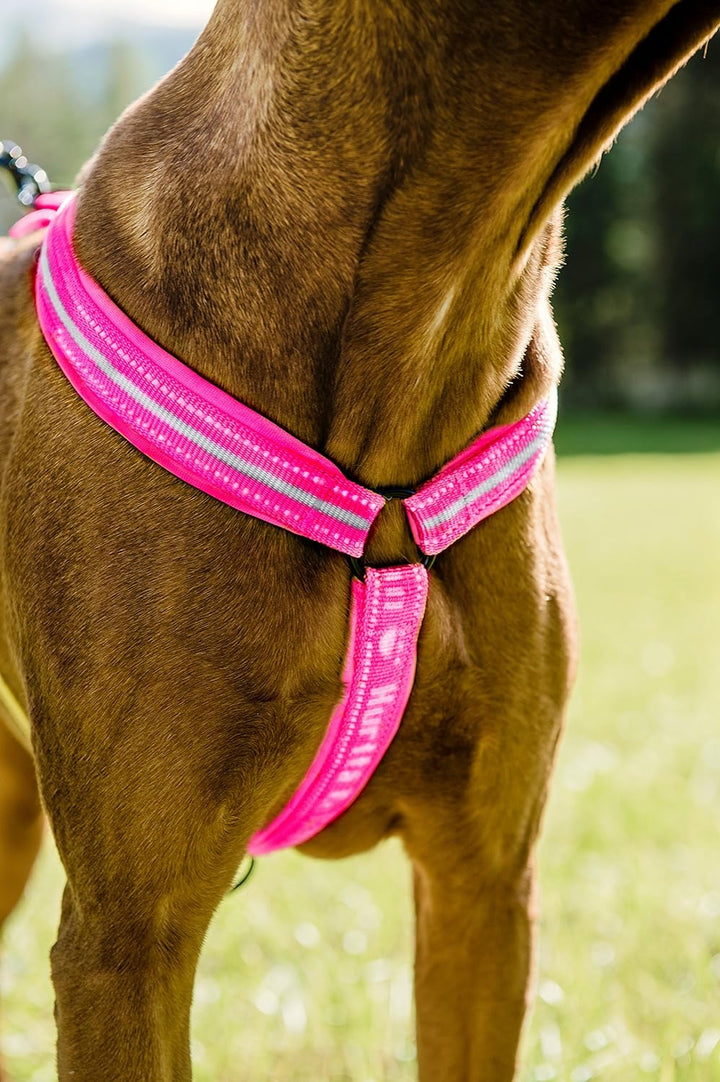 Hurtta Gepolstertes Hundegeschirr, 99 cm, himbeerfarben 39 Inch himbeere, 39 Inch himbeere