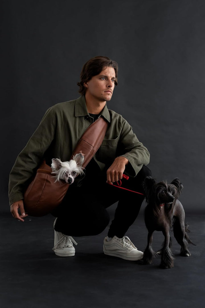 Noah & Paw Hundetragetasche für Kleine Hunde bis 10kg, Hundetasche mit Verstellbarem Schultergurt, u