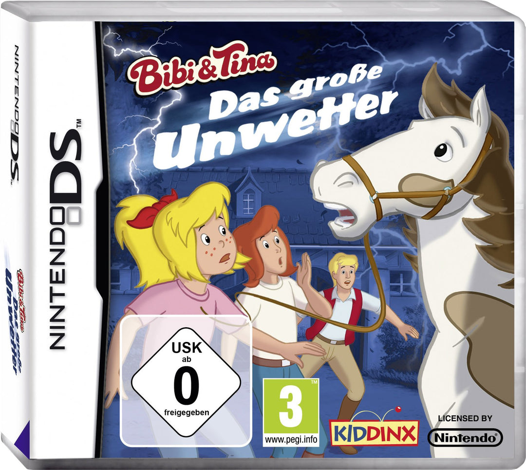 Das grosse Unwetter - [Nintendo DS]