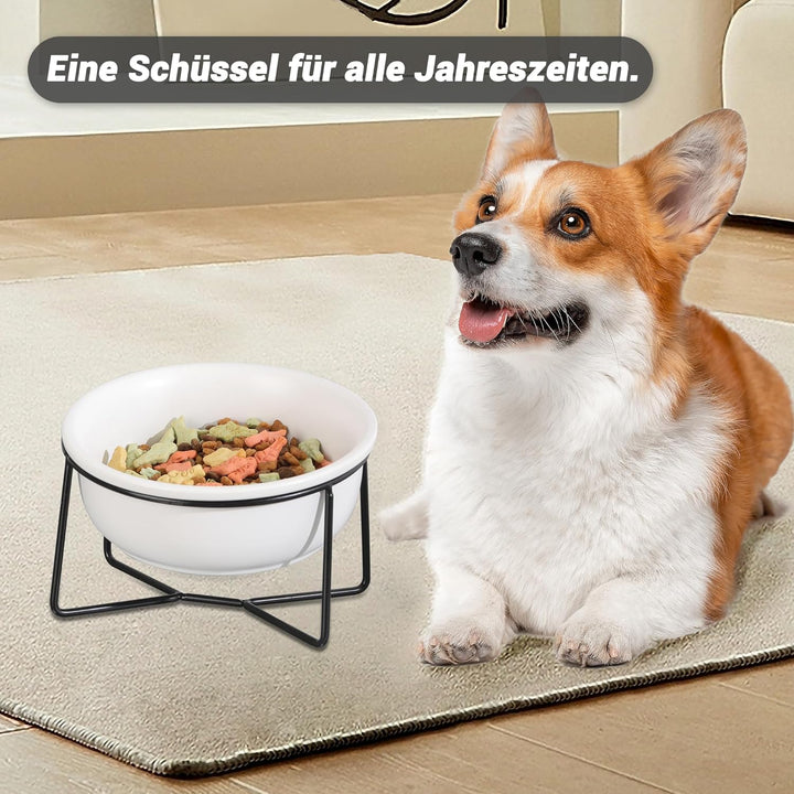 Hundenapf Keramik - Futternapf Hund Katzennapf - Futterstation Hund Katzen Erhöht mit Ständer - Fres