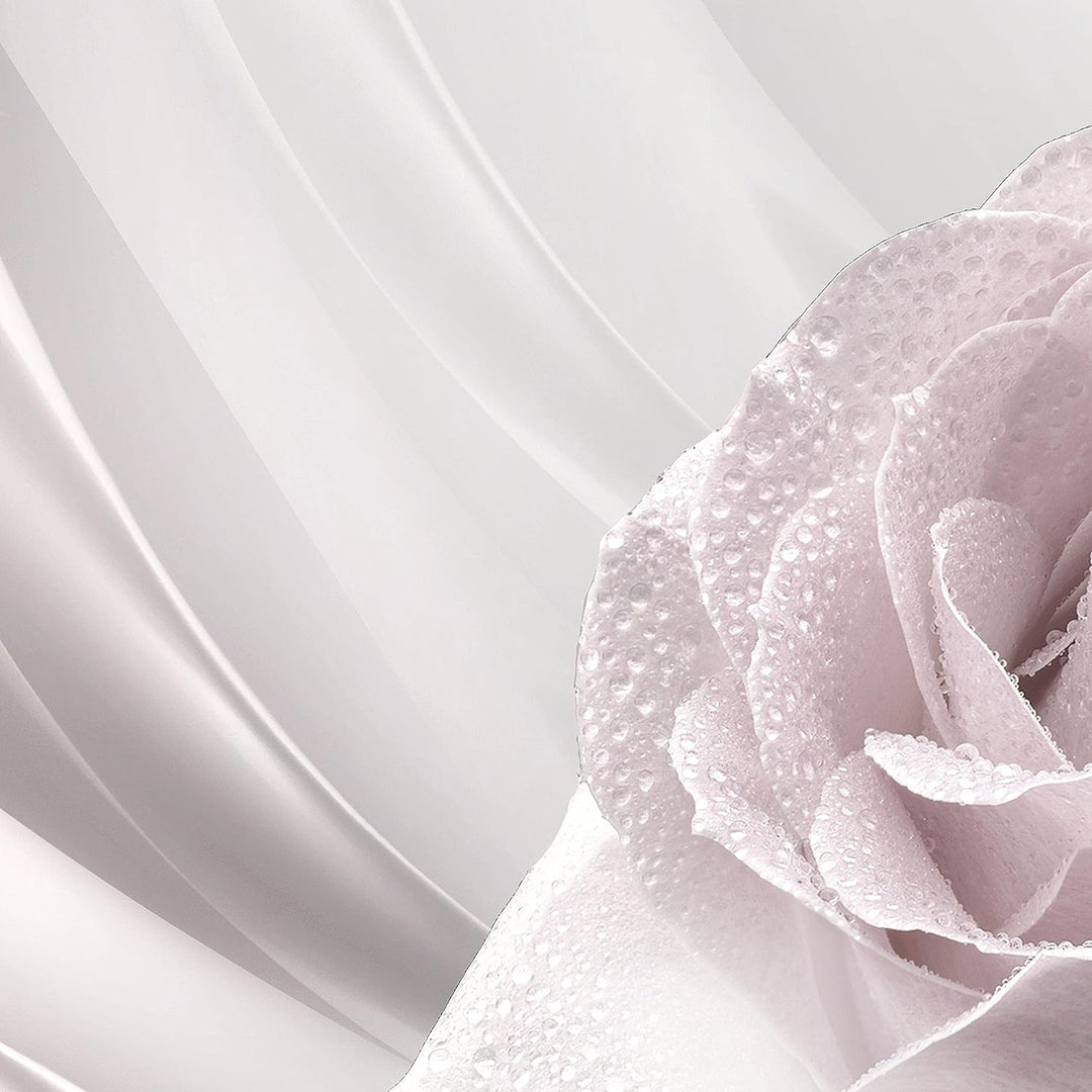 Runa Art Wandbilder Blumen Rose 5 Teilig Bild auf Vlies Leinwand Deko Wohnzimmer Abstrakt Beige Grau