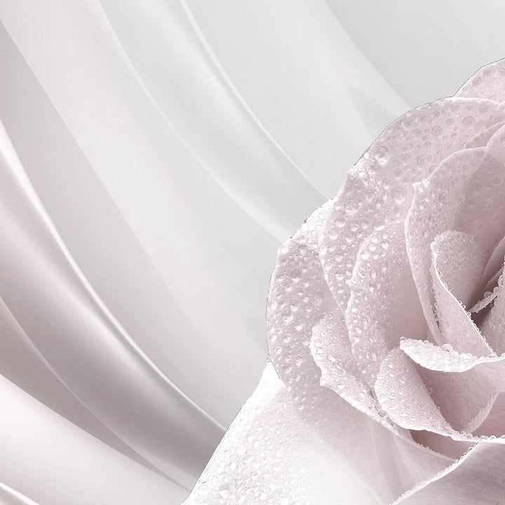 Runa Art Wandbilder Blumen Rose 5 Teilig Bild auf Vlies Leinwand Deko Wohnzimmer Abstrakt Beige Grau