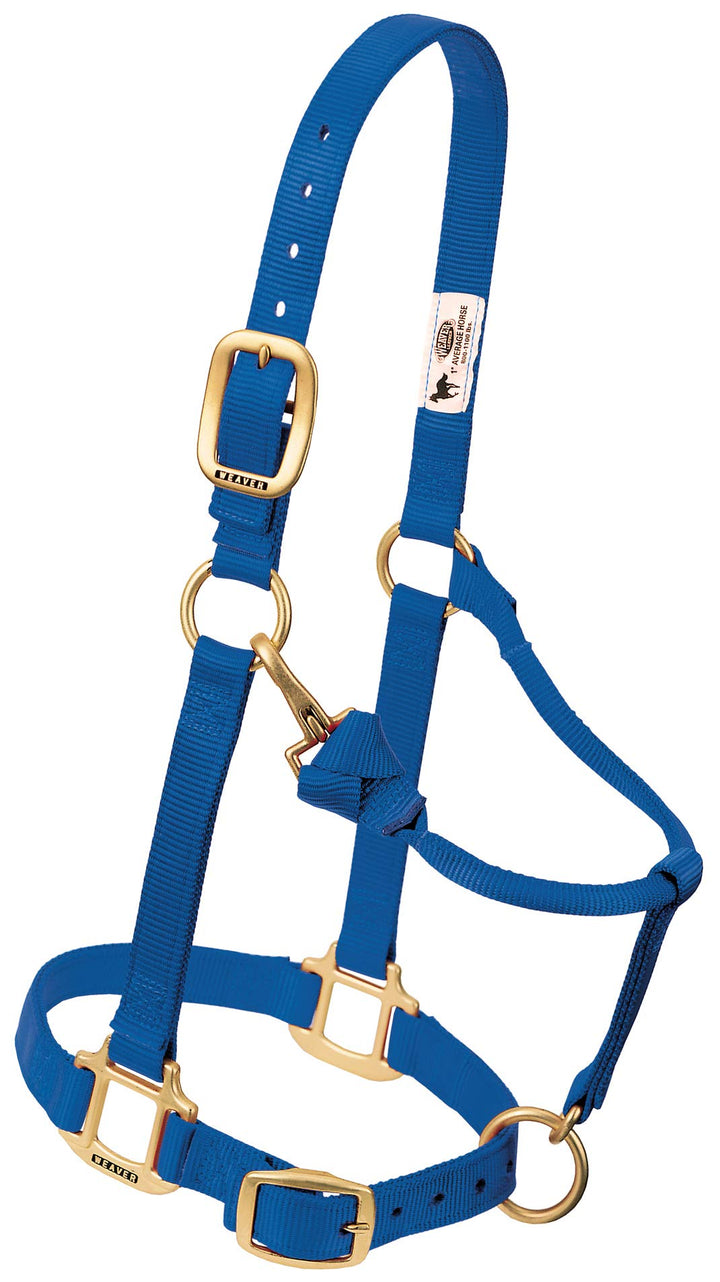 Weaver Leather Original verstellbares Nylonhalfter für Pferde Average Mini blau, Average Mini blau
