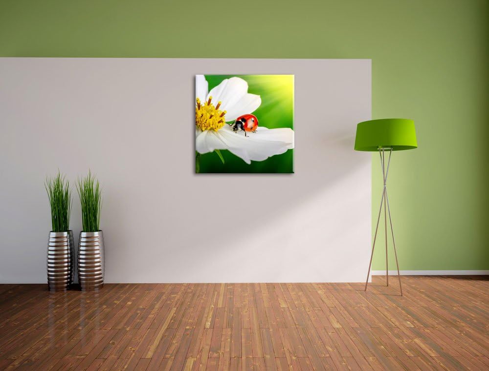 Pixxprint Marienkäfer auf Einer weissen Blume als Leinwandbild/Grösse: 70x70 cm/Wandbild/Kunstdruck/