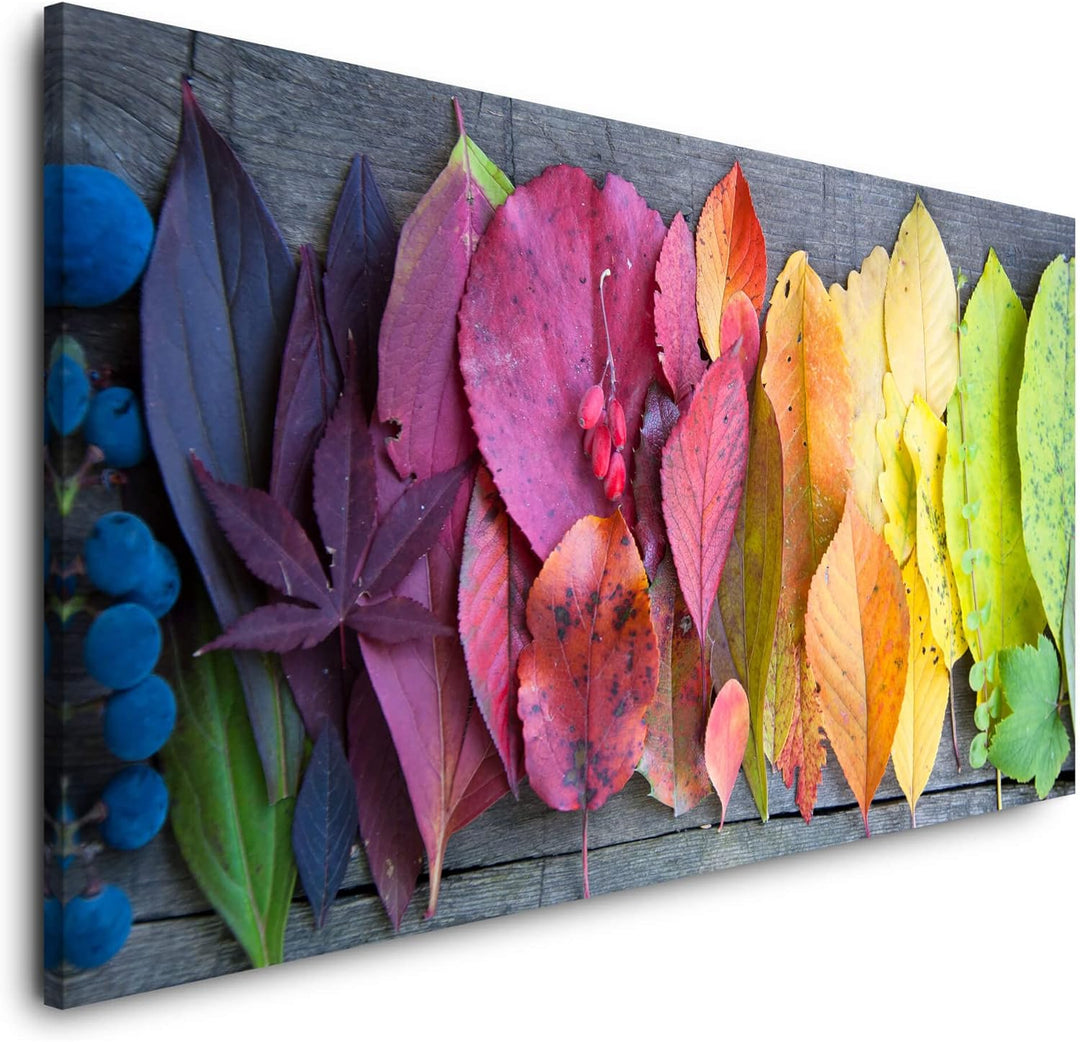 Paul Sinus Leinwandbild 120x60cm Herbstblätter Blätter Herbst Fotokunst schöne Farben Natur