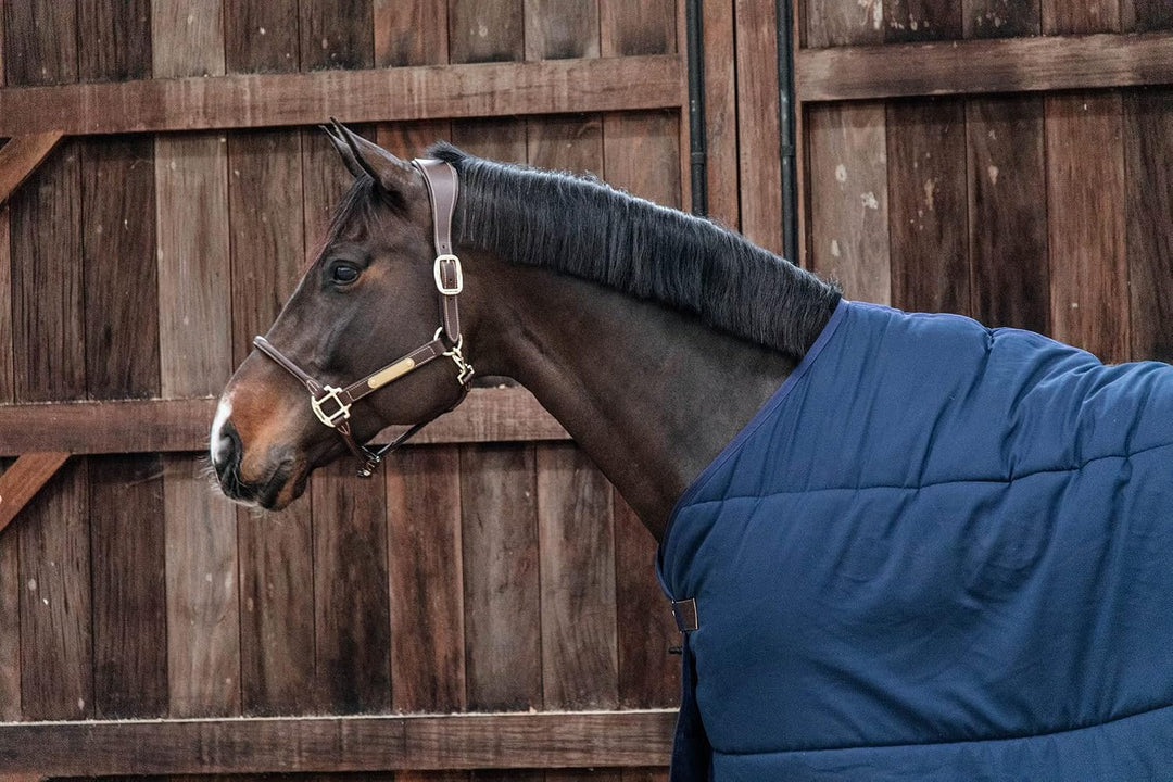 Kentucky Horsewear Under Rug Classic Unterdecke 100g, Grösse:140, Farbe Kentucky Horsewear:Navy, 140