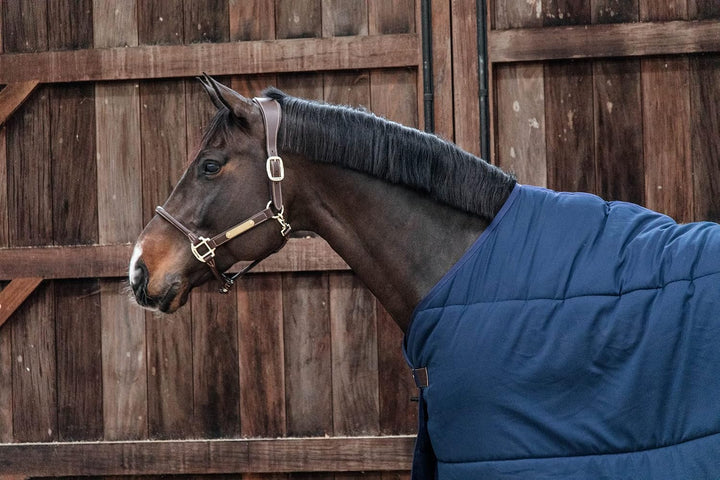 Kentucky Horsewear Under Rug Classic Unterdecke 100g, Grösse:140, Farbe Kentucky Horsewear:Navy, 140