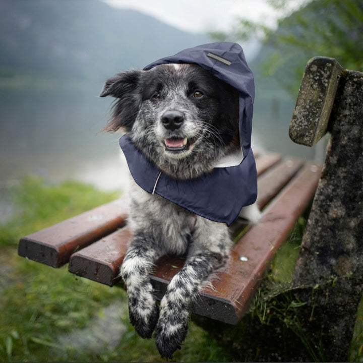 Idepet Regenmantel für Hunde mit Kragenloch Wasserdicht Reflektierend Winddicht Poncho Regenjacke mi