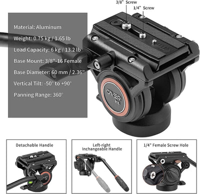 Fluid Head Stativ, Cayer FP2450 Videokamera Stativ 75 Zoll Aluminiumlegierung Einbeinstativ für Cano