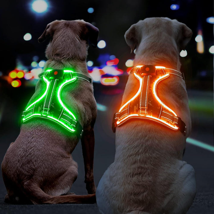 Leuchtgeschirr für Hunde Wiederaufladbares Leuchtendes Hundegeschirr Gepolstert Reflektierend Brustg