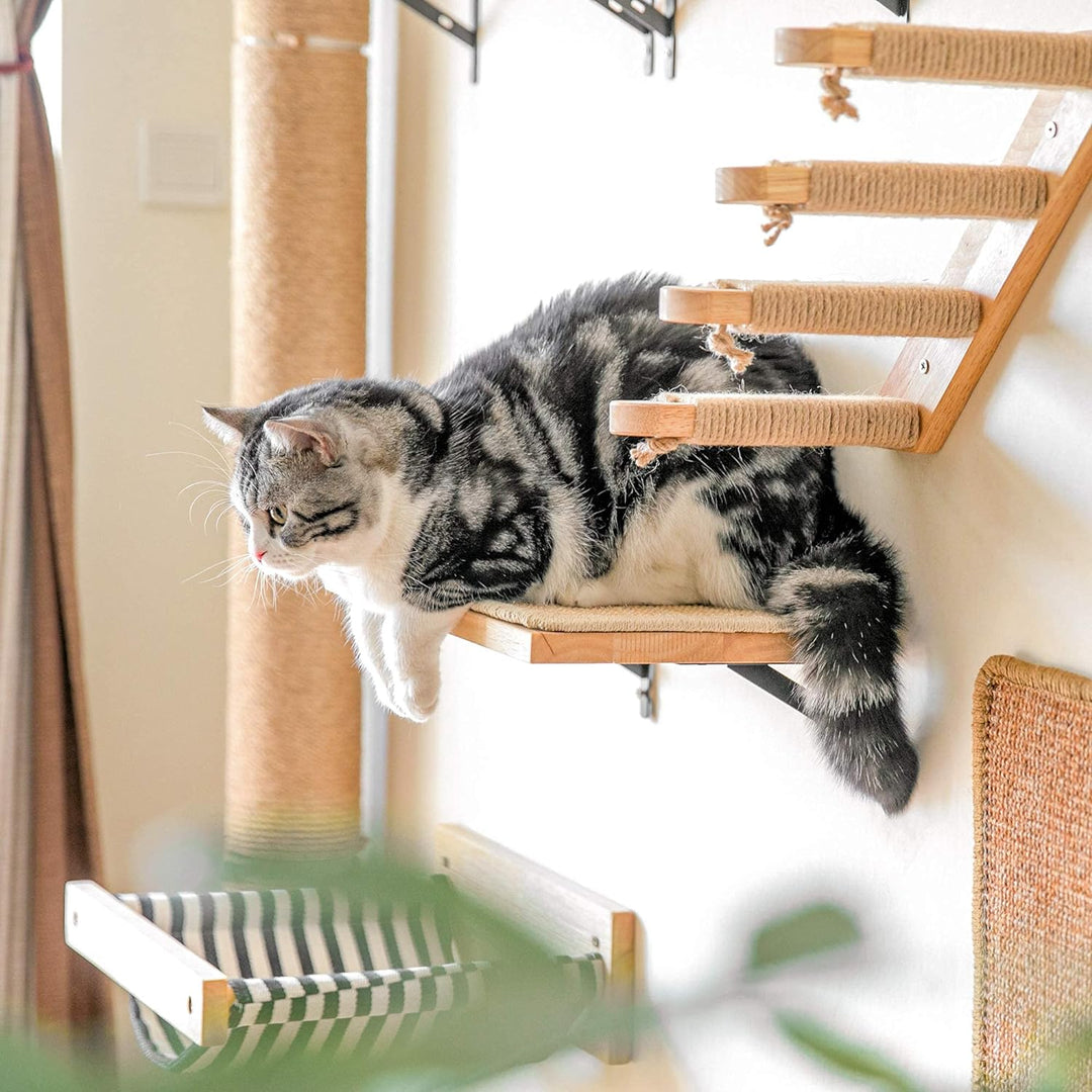 FUKUMARU Kletterwand Katzen, Katzenbett Wand aus 2cm dickem massivem Gummiholz mit widerstandsfähige