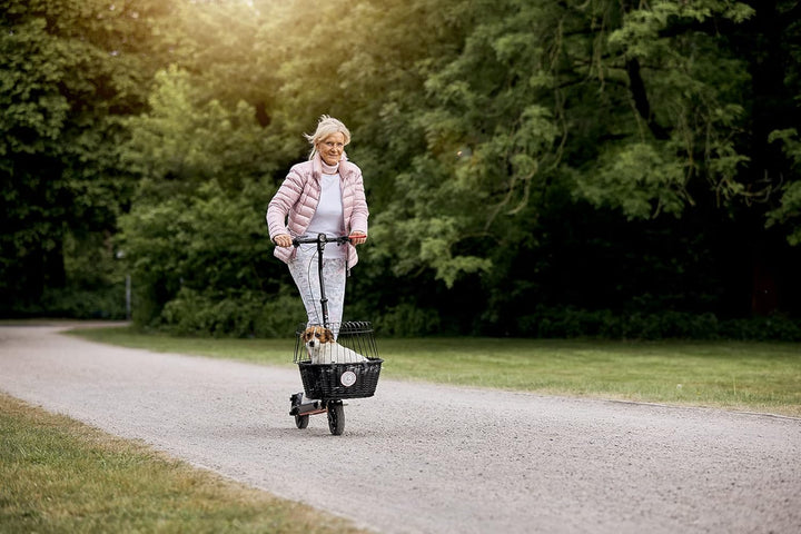 Moovi - MoovIt Lastensystem/Gepäckträger E-Scooter Mini und PRO Aluminium, Aluminium
