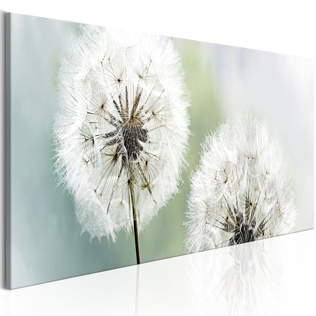 murando - Bilder Pusteblume 150x50 cm Vlies Leinwandbild 1 tlg Kunstdruck modern Wandbilder XXL Wand