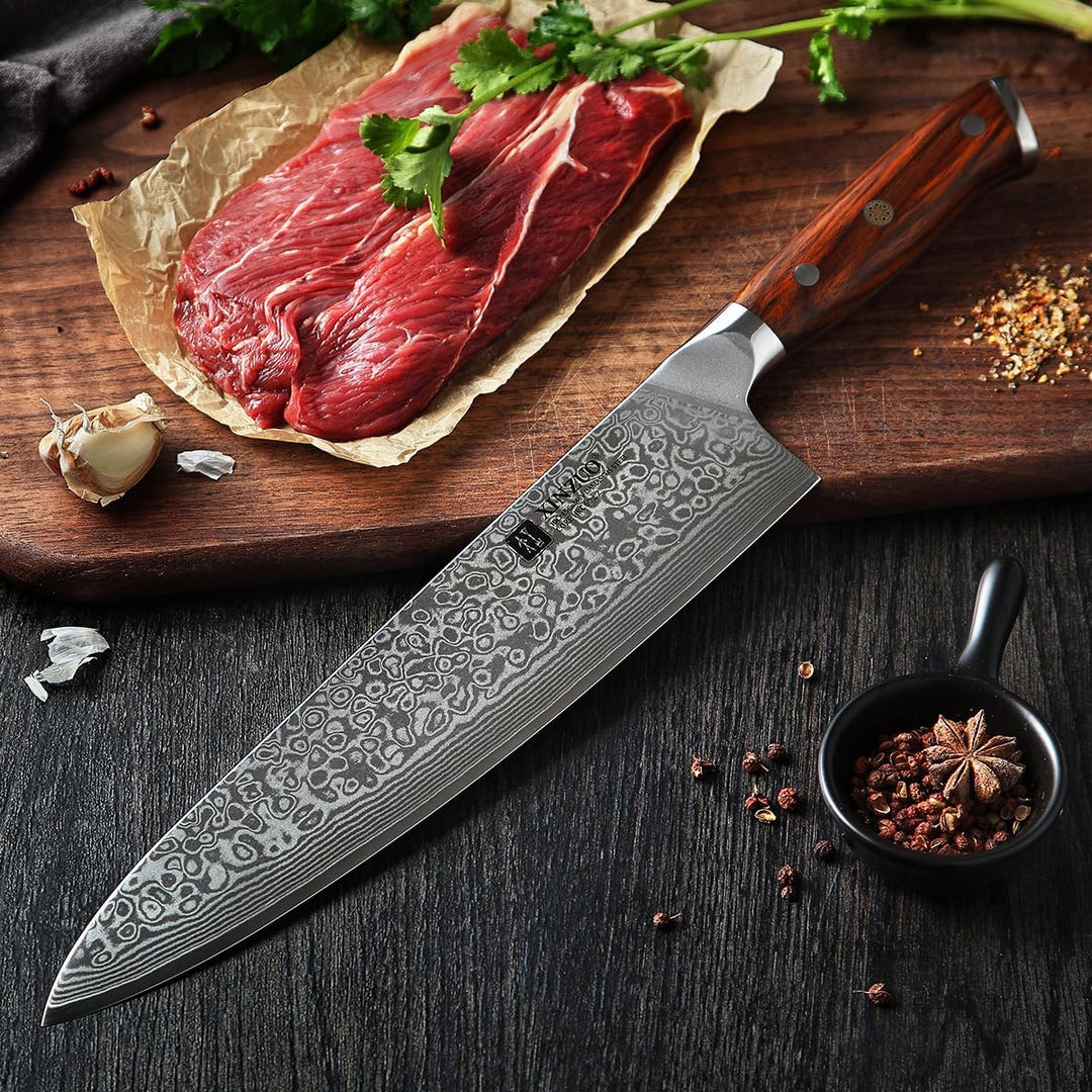 XINZUO Damaststahl Kochmesser 25.5cm, Handgeschmiedet scharf Küchenmesser 67 Schichten Damaststahl p