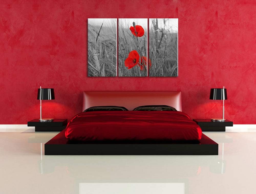 einzelne Mohnblumen im Getreidefeld schwarz/weiss 3-Teiler Leinwandbild 120x80 Bild auf Leinwand, XX