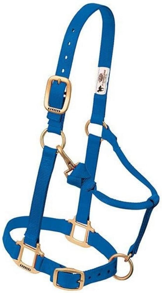 Weaver Leather Original Nylonhalfter für Pferde, verstellbar Säugen Hurricane Blue, Säugen Hurricane