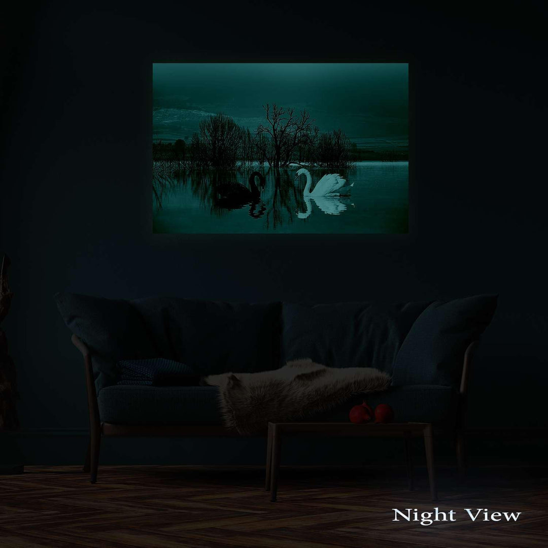 Startonight Bilder - Schwarze Weisse Schwäne - Leinwandbilder Moderne Kunst, Wanddeko Kunstdrucke, W