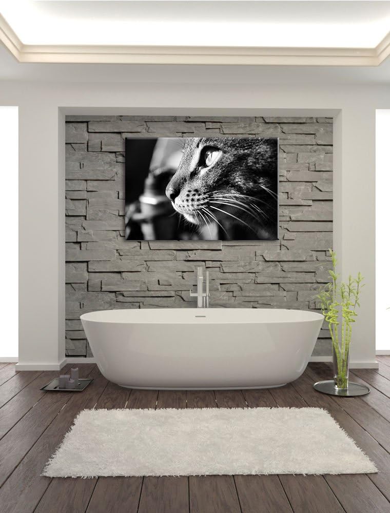 Dark anmutige Katze im Seitenprofilauf Leinwand, XXL riesige Bilder fertig gerahmt mit Keilrahmen, K