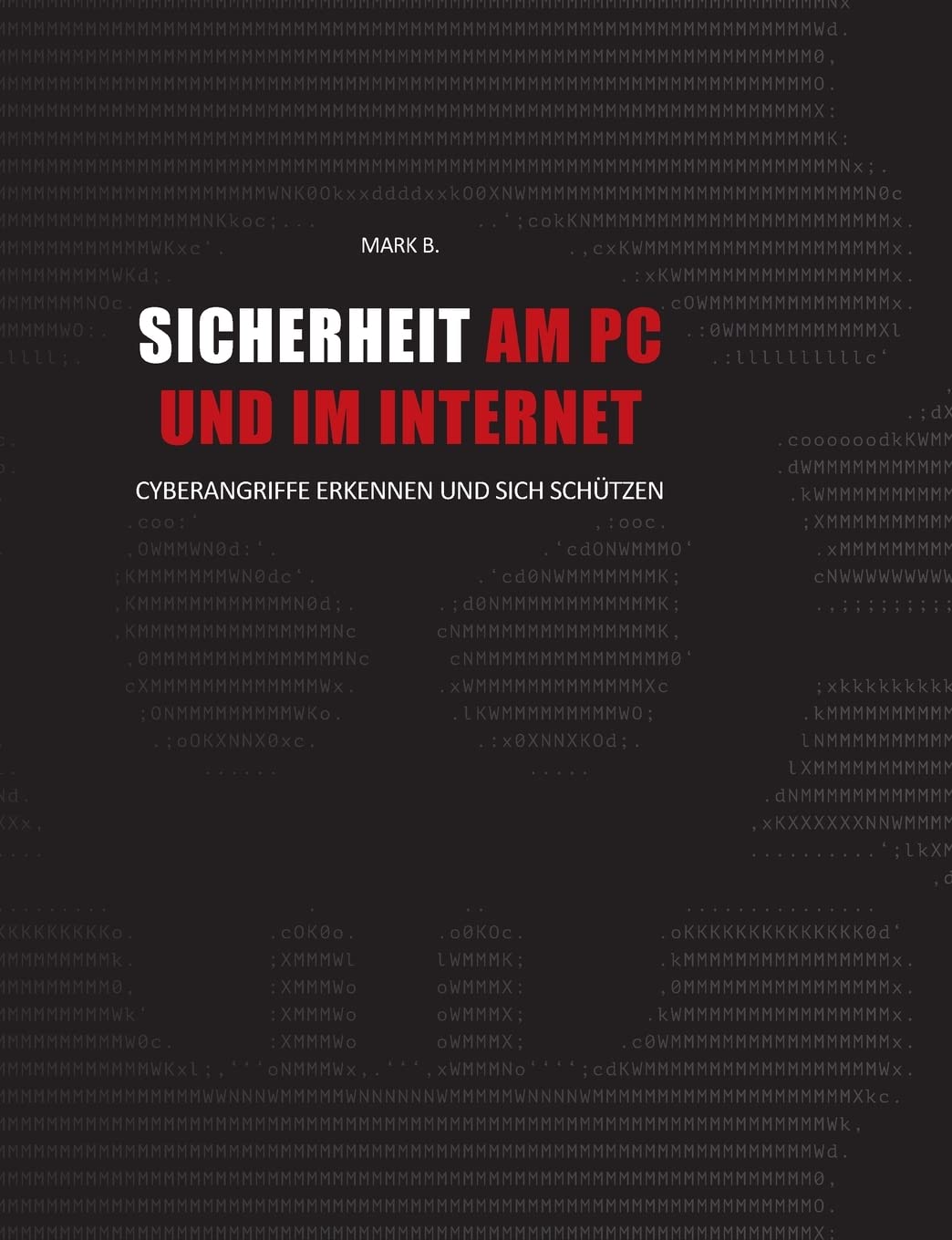 Sicherheit am PC und im Internet: Cyberangriffe erkennen und sich schützen, Taschenbuch