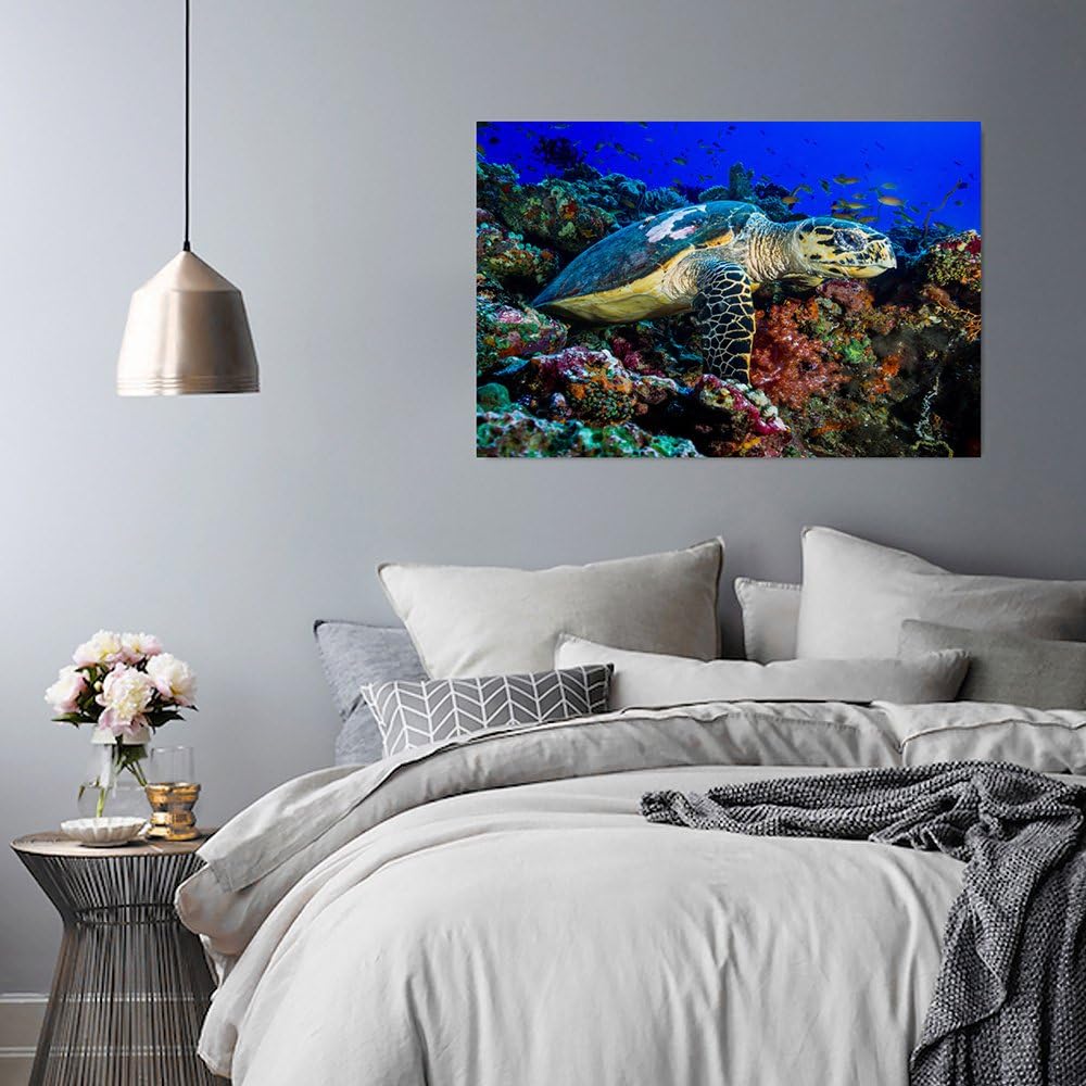 Feeby Bilder Schildkröte Natur 70x50 cm Wohnzimmer Schlafzimmer Büro Flur Küche Wandbilder Modern Bi