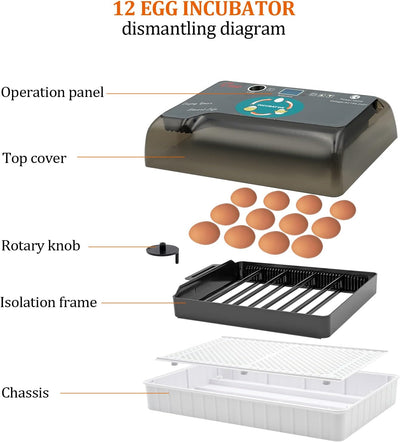 MasXirch 12 Eier Inkubator Automatisch mit Effizienter LED Beleuchtung,Inkubator Brutkasten Motorbrü