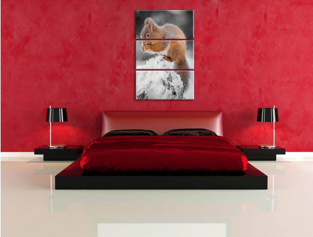 Pixxprint Kleines Eichhörnchen im Winter Schwarz/Weiss 3-Teiler Leinwandbild 120x80 Bild auf Leinwan