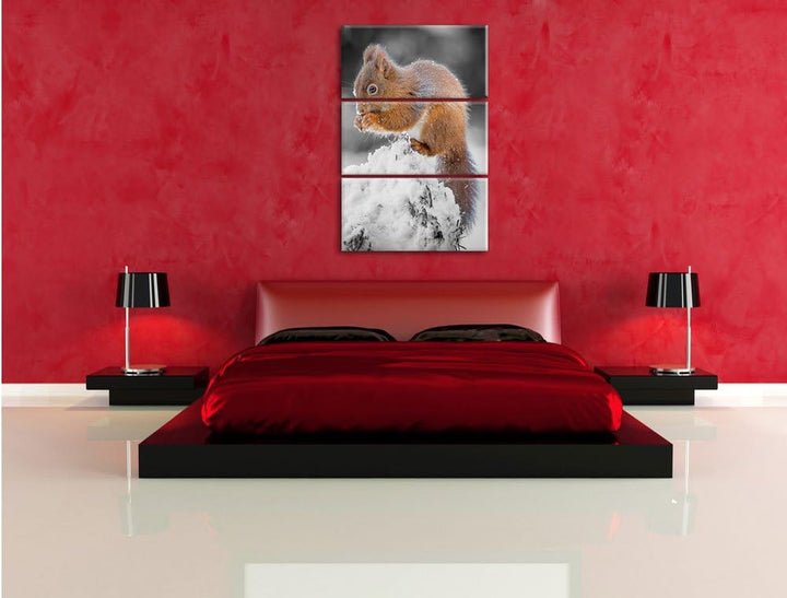 Pixxprint Kleines Eichhörnchen im Winter Schwarz/Weiss 3-Teiler Leinwandbild 120x80 Bild auf Leinwan