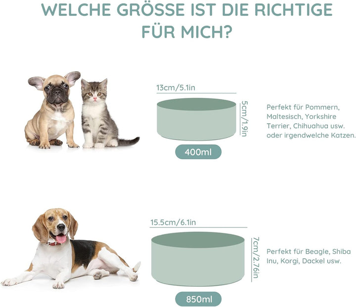 SPUNKYJUNKY Keramik Doppel Futternapf mit Bambus Ständer für Katzen und Hunde (400ml, Hellgrün), Dop
