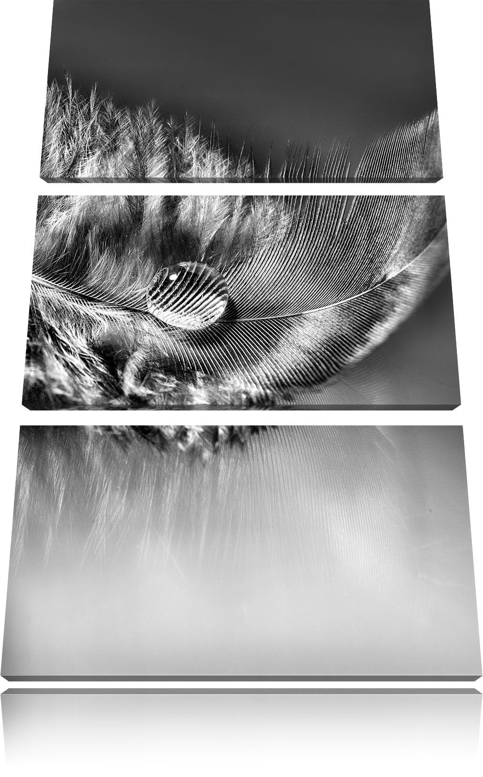Pixxprint Wassertropfen auf Feder als Leinwandbild | Grösse: 3 Teilig (120x80) | Wandbild| Kunstdruc