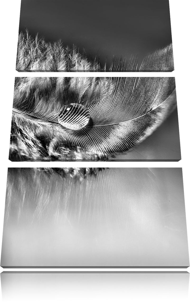 Pixxprint Wassertropfen auf Feder als Leinwandbild | Grösse: 3 Teilig (120x80) | Wandbild| Kunstdruc