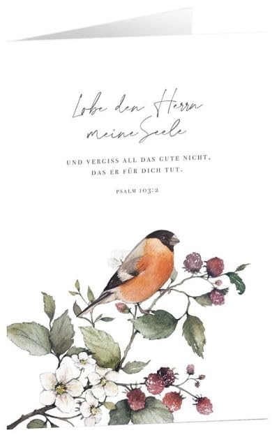 Glaube, Hoffnung, Liebe - Faltkarten-Set: Das Leben feiern - 10 Karten mit Bibelversen, Taschenbuch
