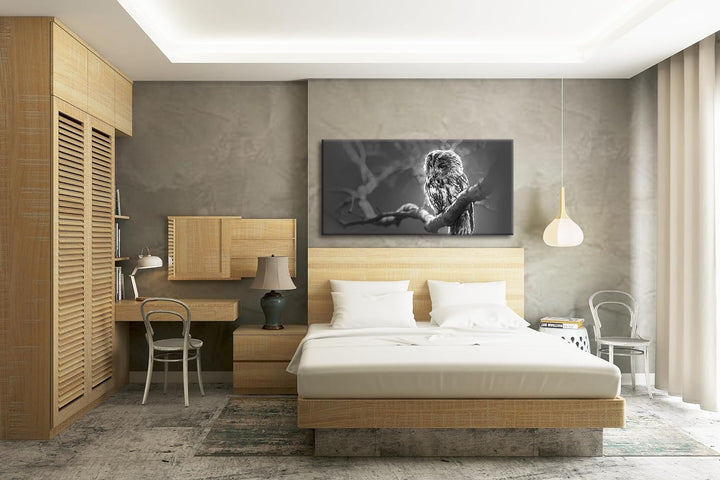 deyoli Lauernde Eule Panorama 120x60 cm Effekt: Schwarz/Weiss als Leinwandbild, Motiv fertig gerahmt