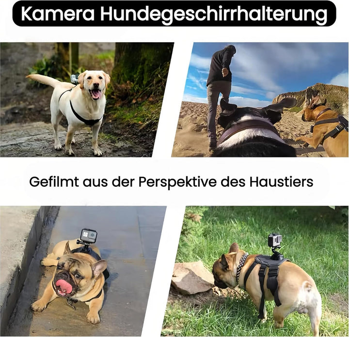 Haustier Geschirr für GoPro, Hundegeschirr für GoPro 13 12 11 10 9 8 7 Insta360 X5 X4 X3 Go3s DJI Os