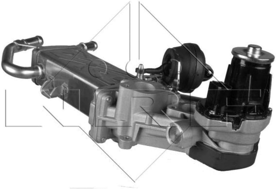 NRF 48214 AGR-Ventile